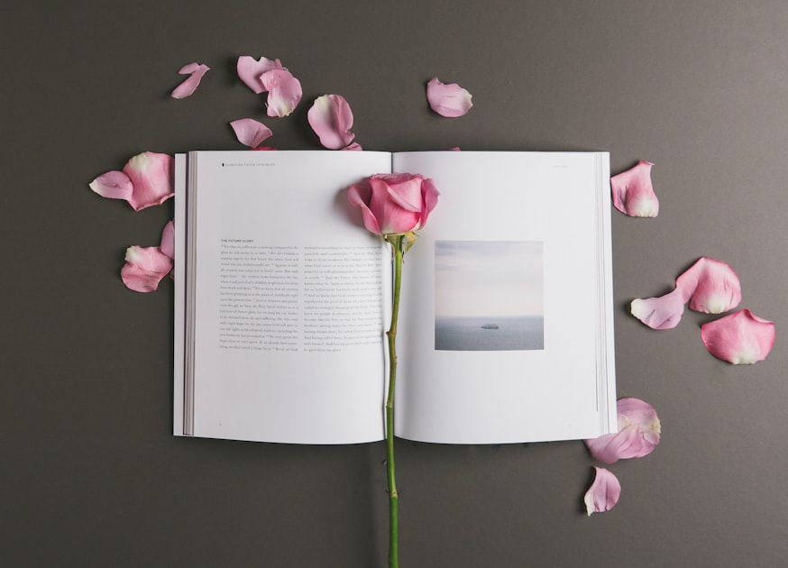 Top Authors to Meet